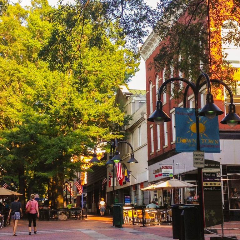 10 Reasons Why Redfields Is The Best Neighborhood In Charlottesville